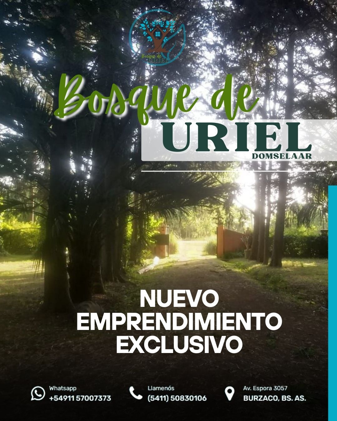 BOSQUES DE URIEL